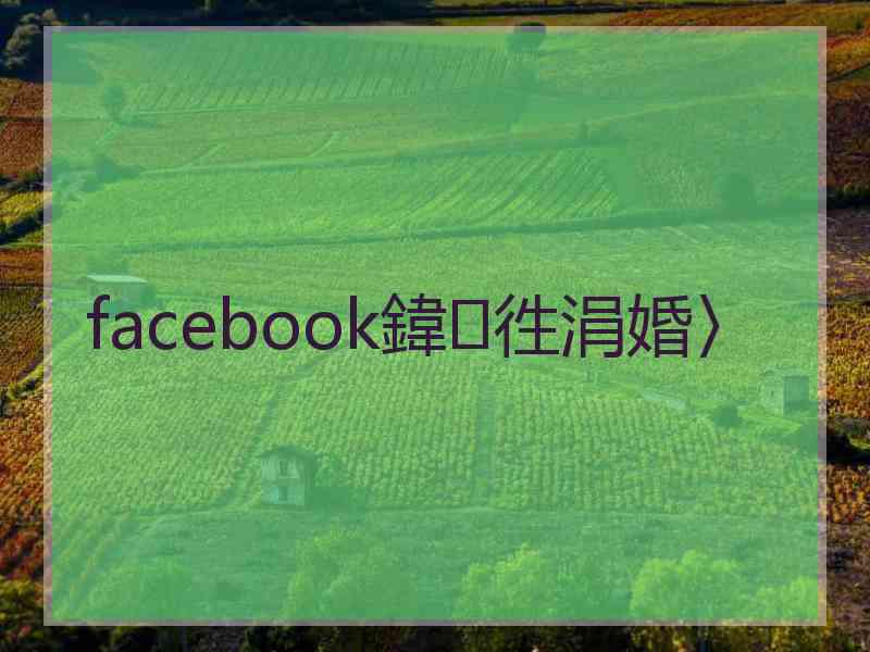 facebook鍏徃涓婚〉