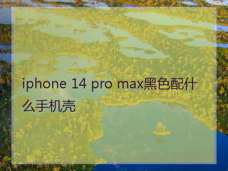 iphone 14 pro max黑色配什么手机壳