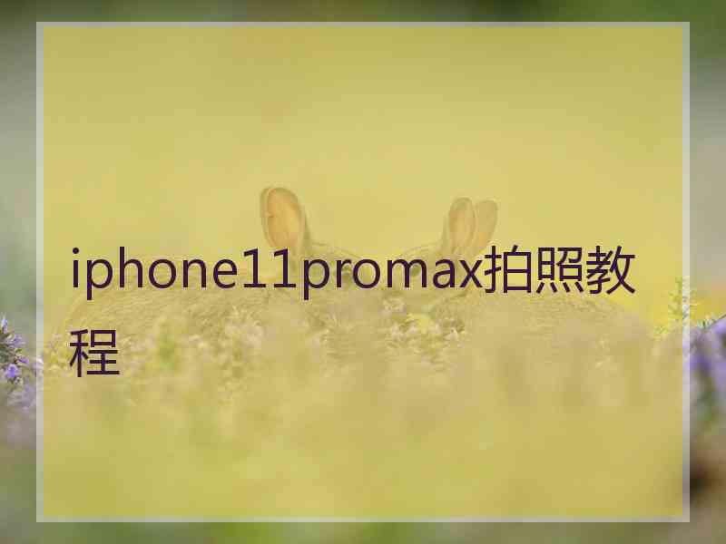 iphone11promax拍照教程