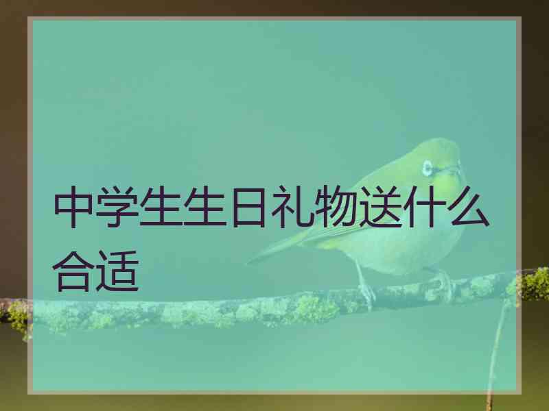 中学生生日礼物送什么合适