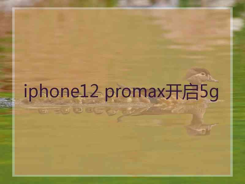 iphone12 promax开启5g