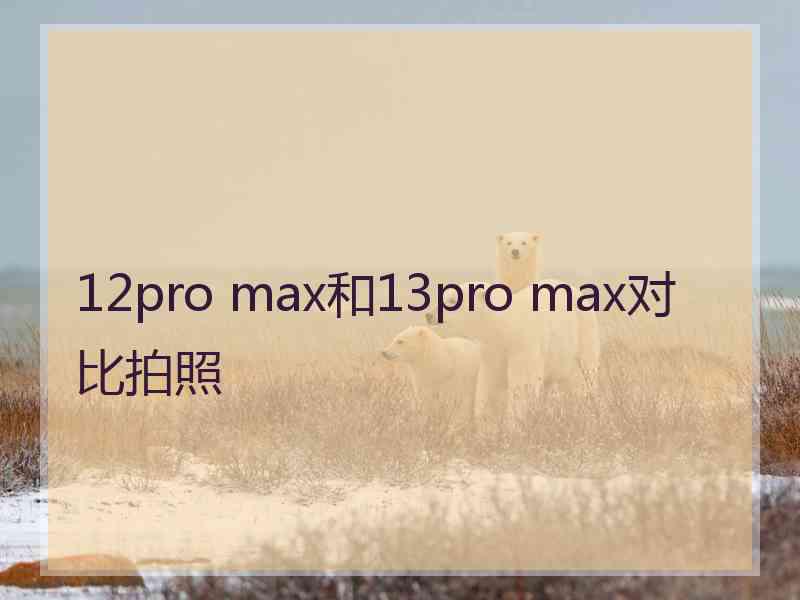 12pro max和13pro max对比拍照