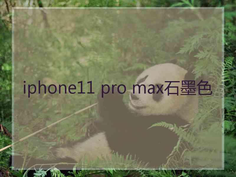 iphone11 pro max石墨色