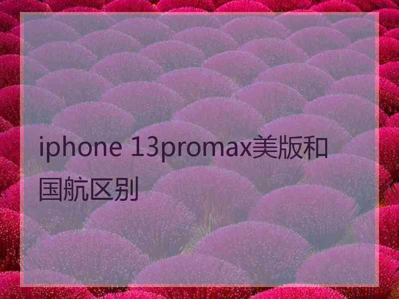 iphone 13promax美版和国航区别