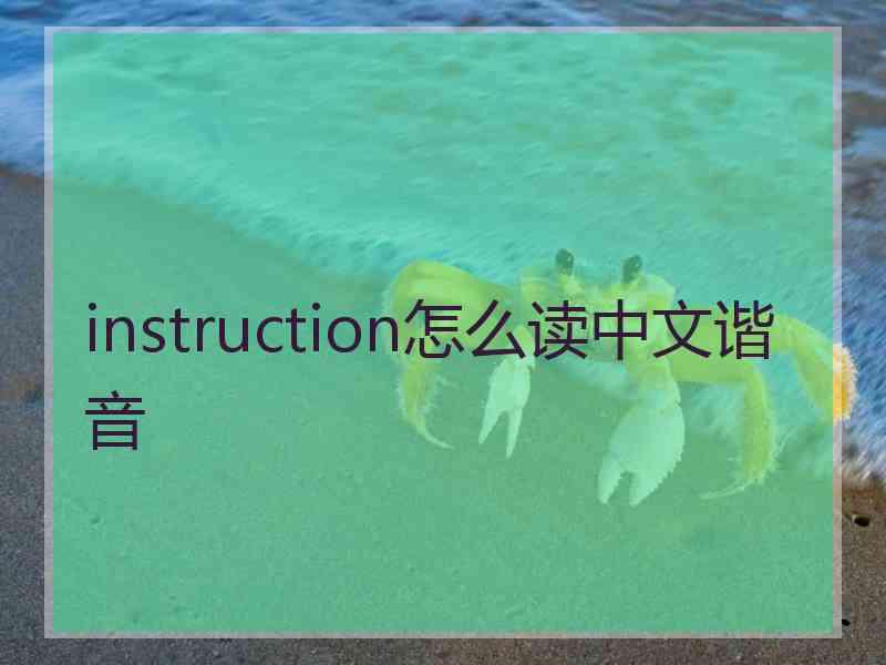 instruction怎么读中文谐音