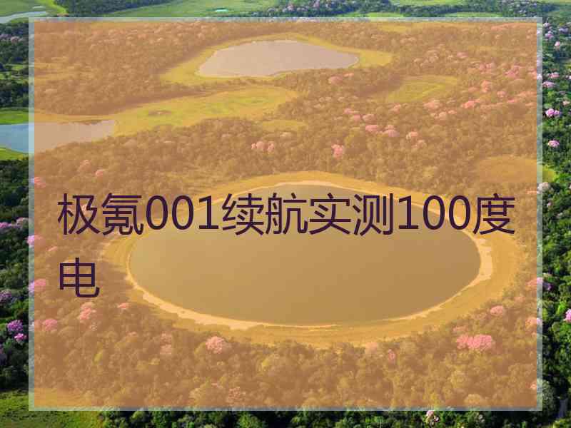 极氪001续航实测100度电