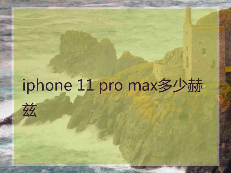 iphone 11 pro max多少赫兹