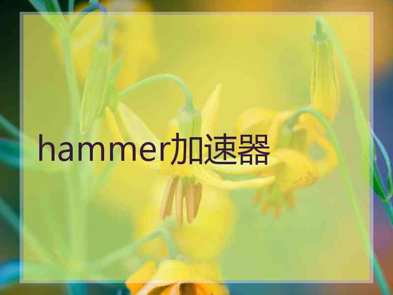 hammer加速器