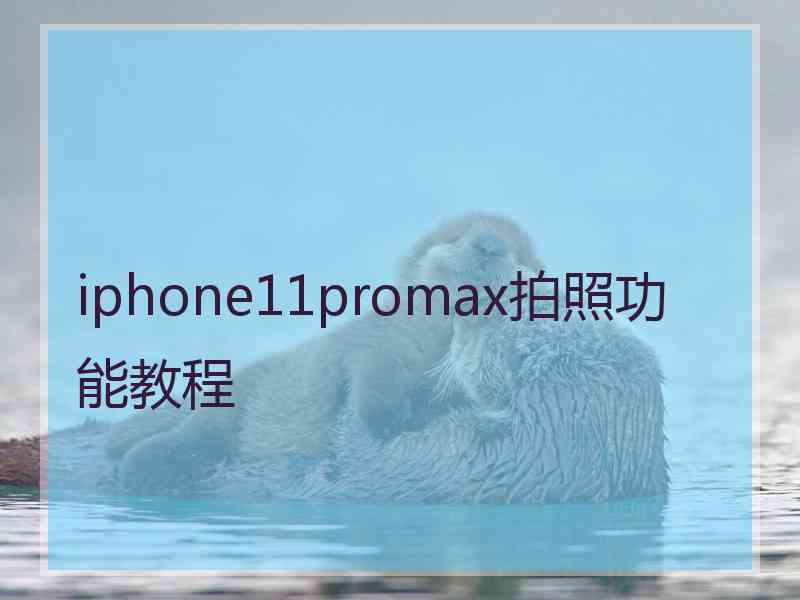 iphone11promax拍照功能教程