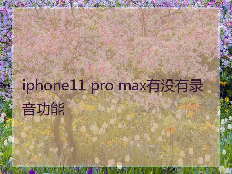 iphone11 pro max有没有录音功能