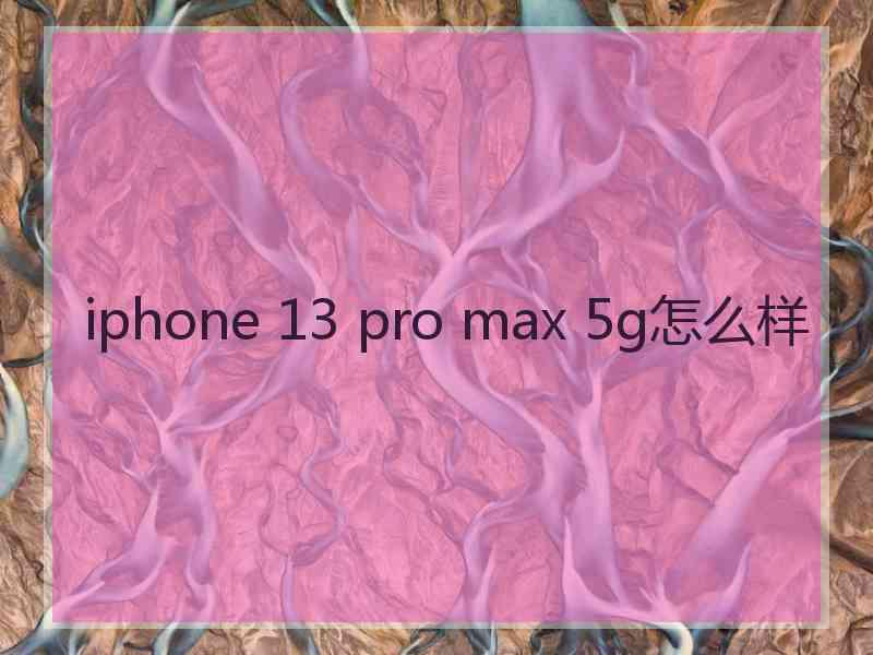 iphone 13 pro max 5g怎么样