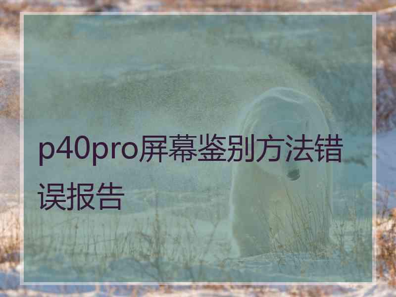 p40pro屏幕鉴别方法错误报告