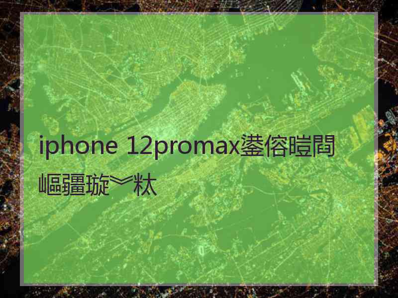 iphone 12promax鍙傛暟閰嶇疆璇︾粏