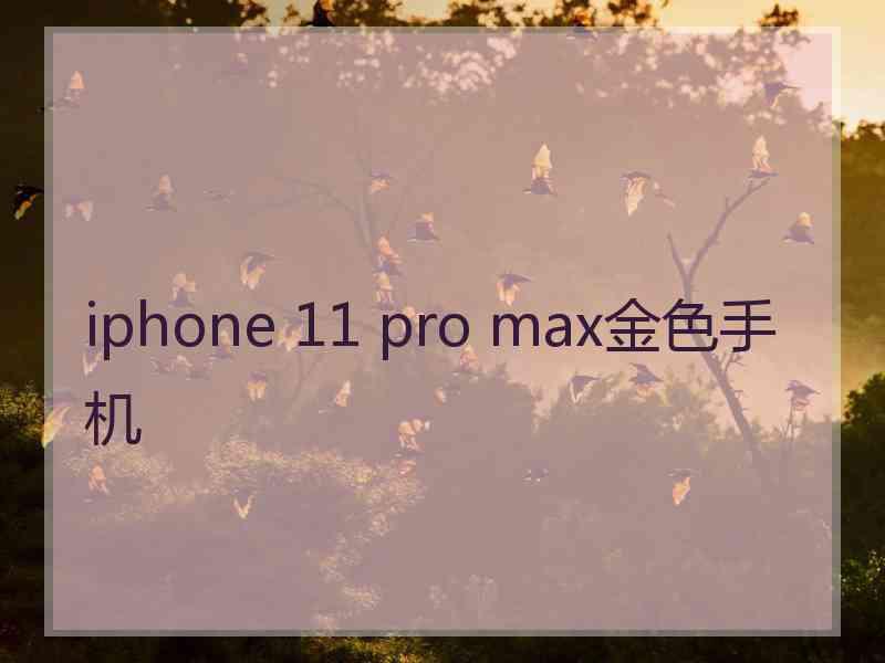 iphone 11 pro max金色手机