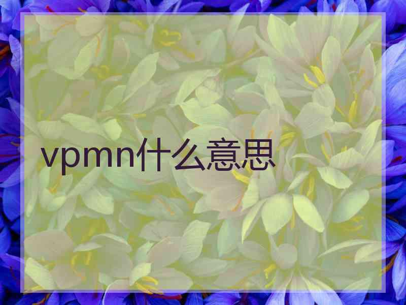 vpmn什么意思