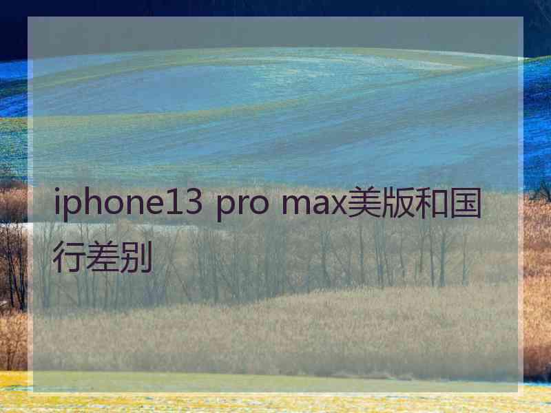 iphone13 pro max美版和国行差别