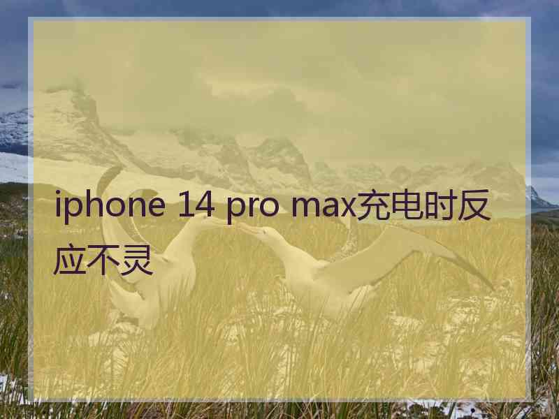 iphone 14 pro max充电时反应不灵