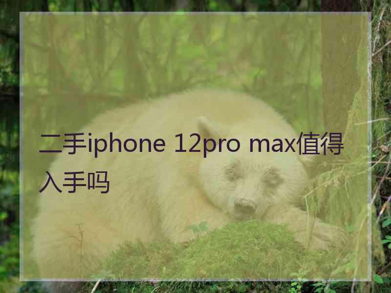 二手iphone 12pro max值得入手吗