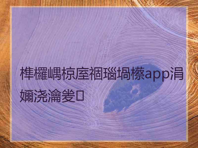 榫欏嵎椋庢祻瑙堝櫒app涓嬭浇瀹夎