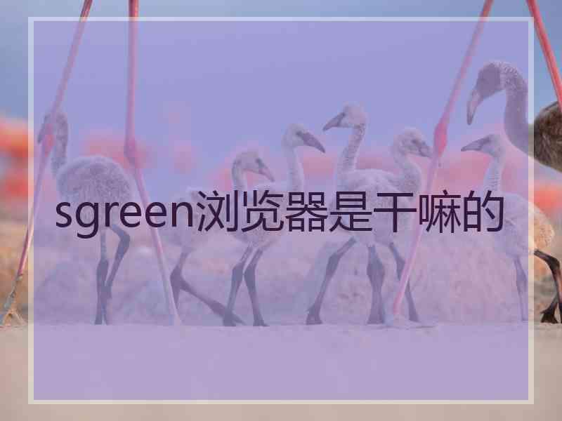 sgreen浏览器是干嘛的