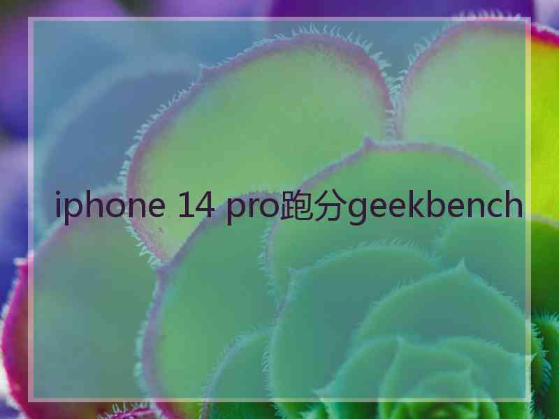 iphone 14 pro跑分geekbench