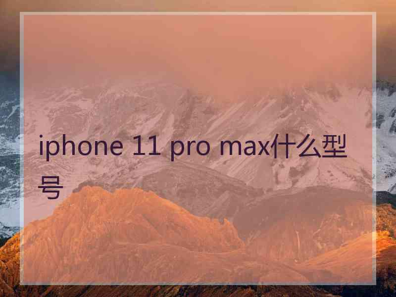 iphone 11 pro max什么型号