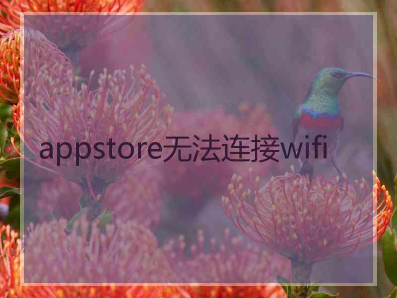 appstore无法连接wifi