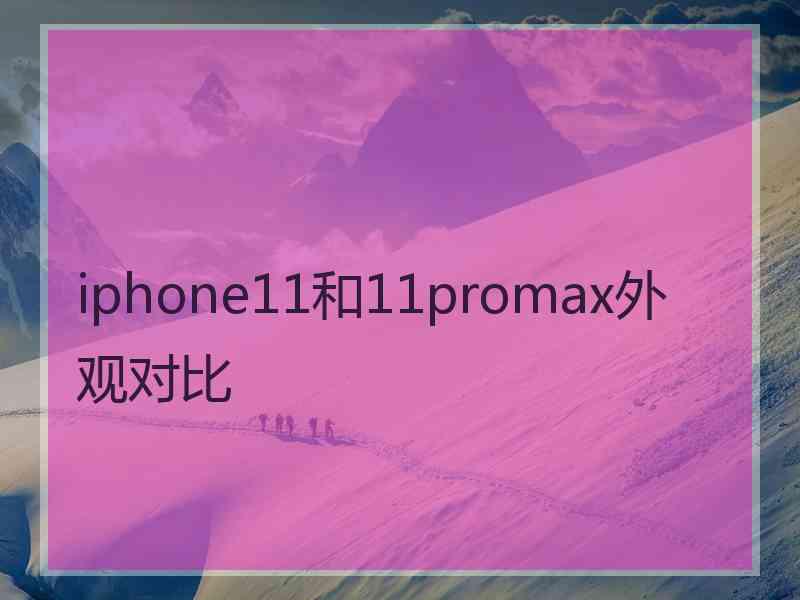 iphone11和11promax外观对比