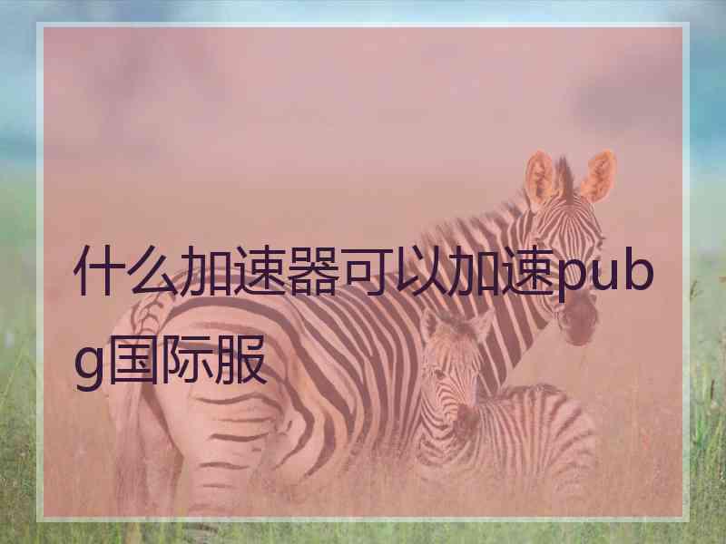 什么加速器可以加速pubg国际服