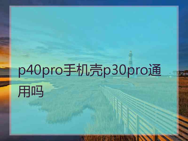 p40pro手机壳p30pro通用吗