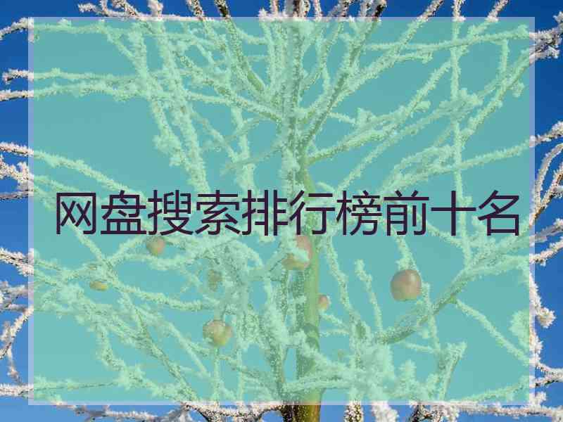 网盘搜索排行榜前十名