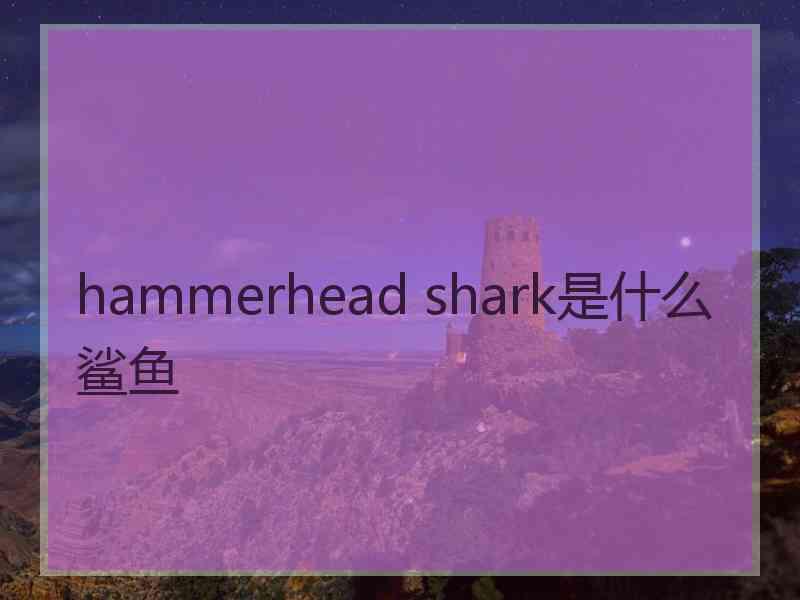 hammerhead shark是什么鲨鱼