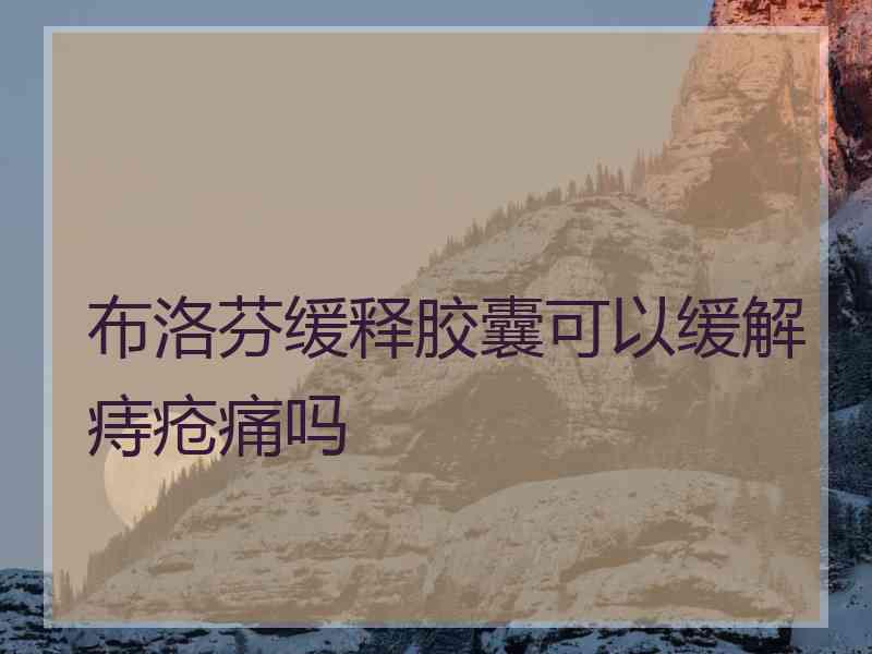 布洛芬缓释胶囊可以缓解痔疮痛吗