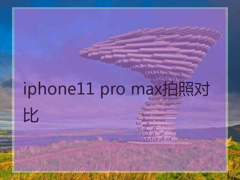 iphone11 pro max拍照对比