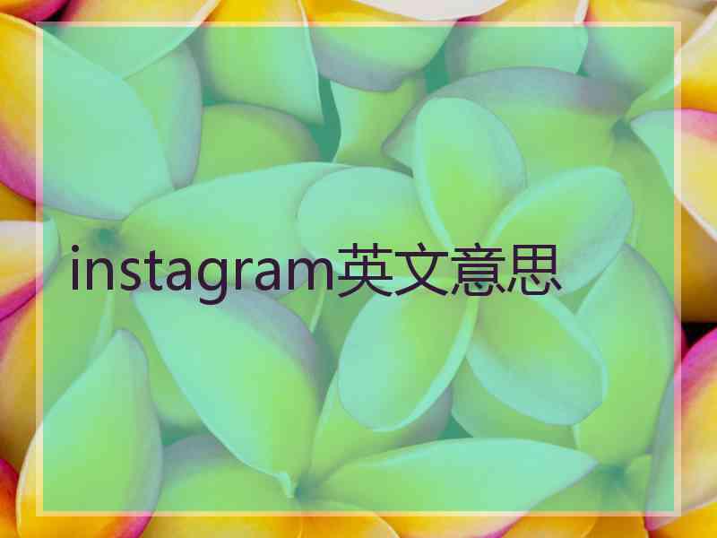 instagram英文意思