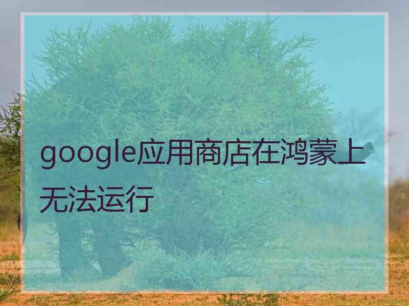 google应用商店在鸿蒙上无法运行