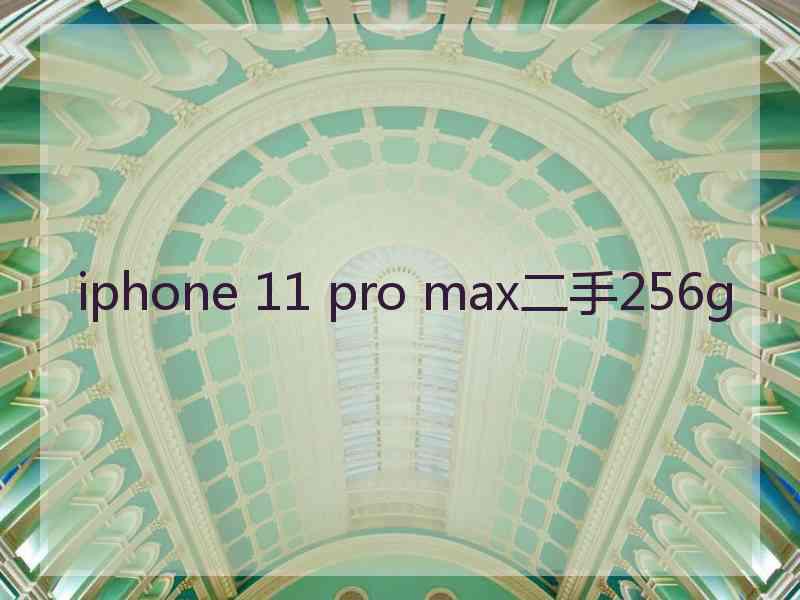 iphone 11 pro max二手256g