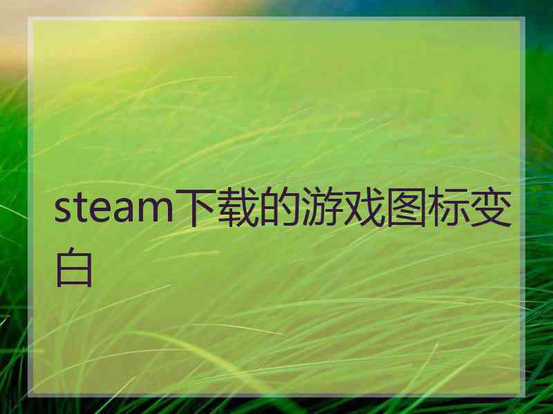 steam下载的游戏图标变白