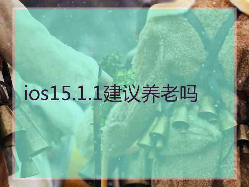 ios15.1.1建议养老吗