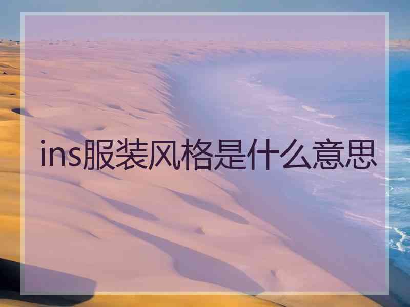 ins服装风格是什么意思