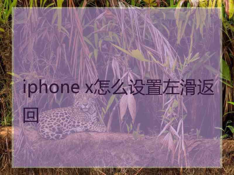 iphone x怎么设置左滑返回