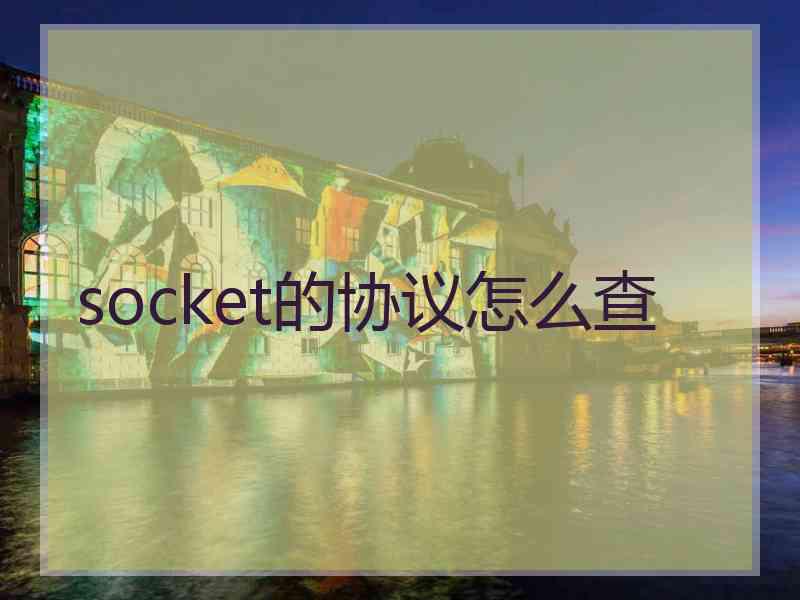 socket的协议怎么查