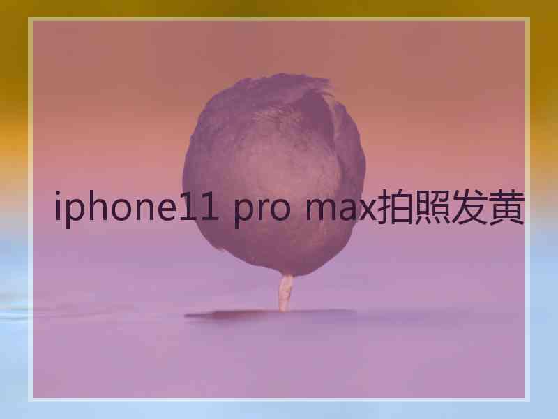 iphone11 pro max拍照发黄