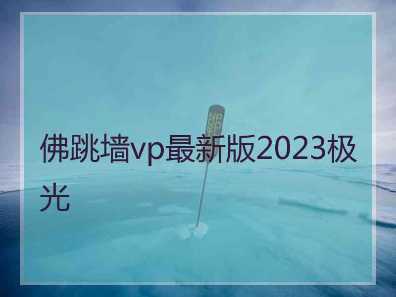 佛跳墙vp最新版2023极光