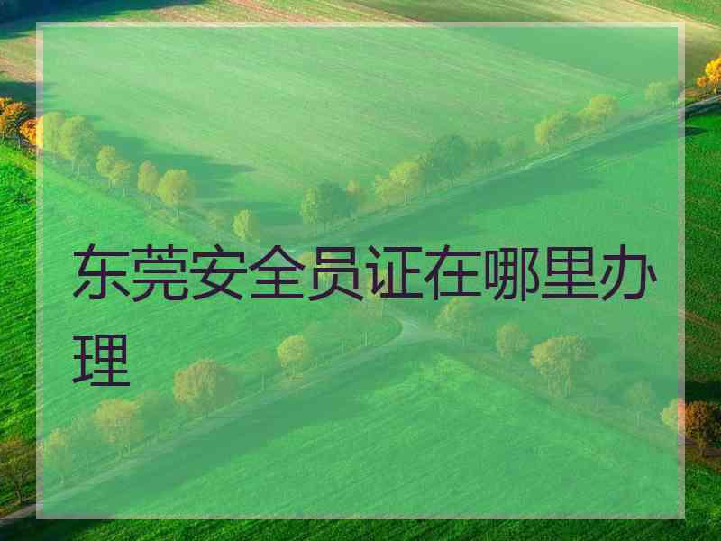 东莞安全员证在哪里办理