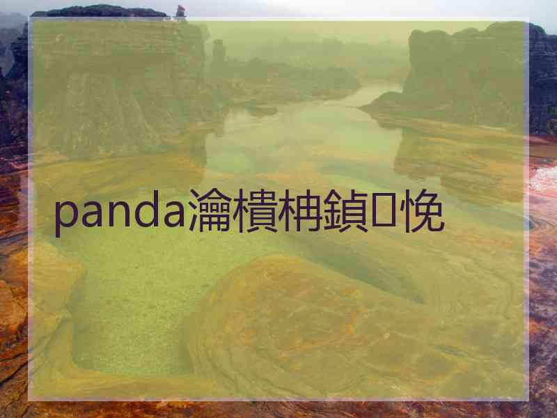 panda瀹樻柟鍞悗