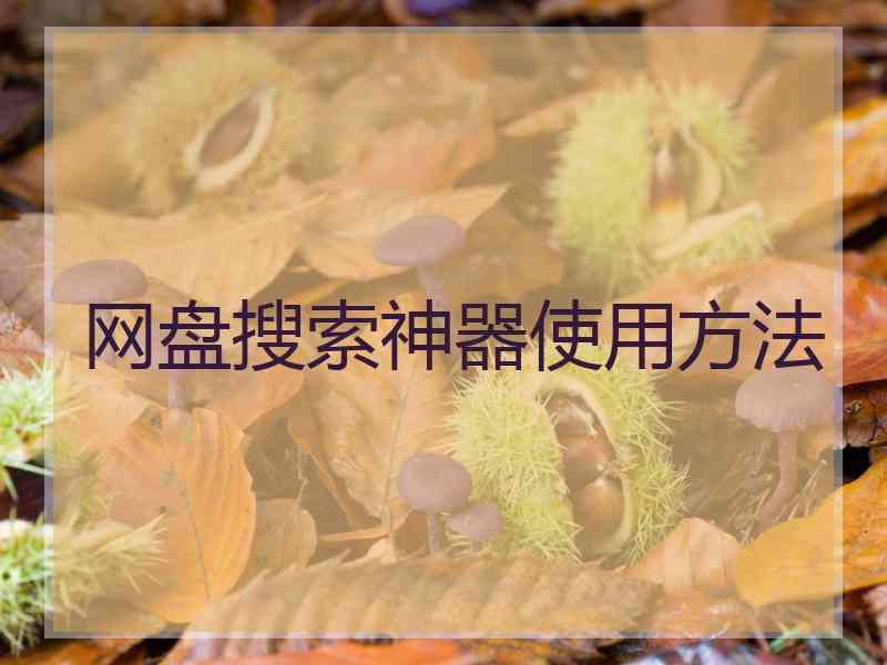 网盘搜索神器使用方法