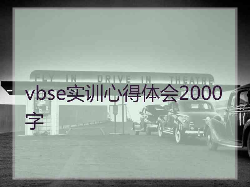 vbse实训心得体会2000字