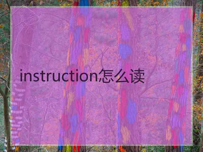 instruction怎么读