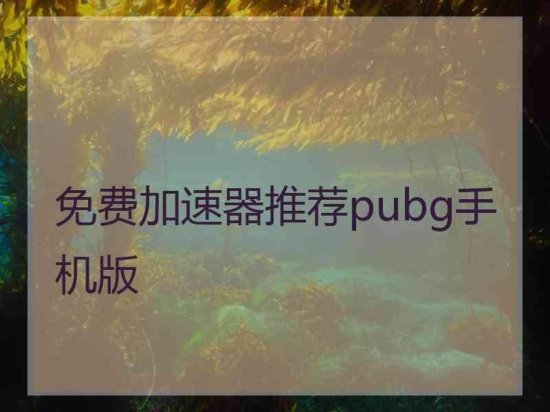 免费加速器推荐pubg手机版